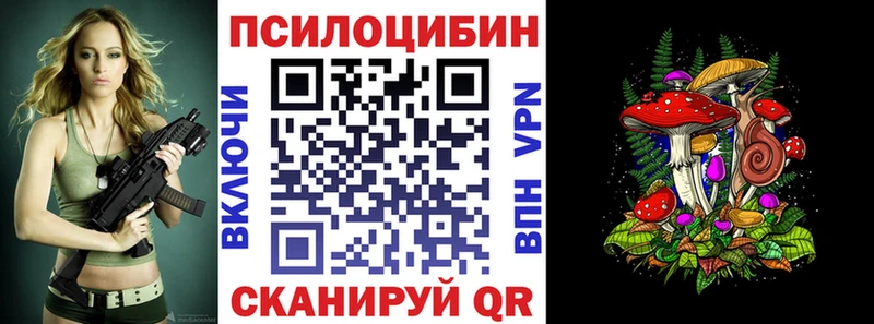 Галлюциногенные грибы Psilocybe  Купить  Коммунар 